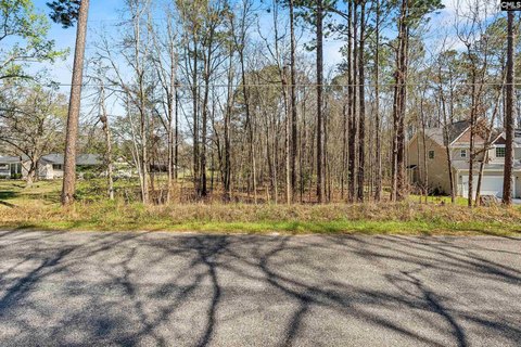 West Columbia Acreage, Build Ready