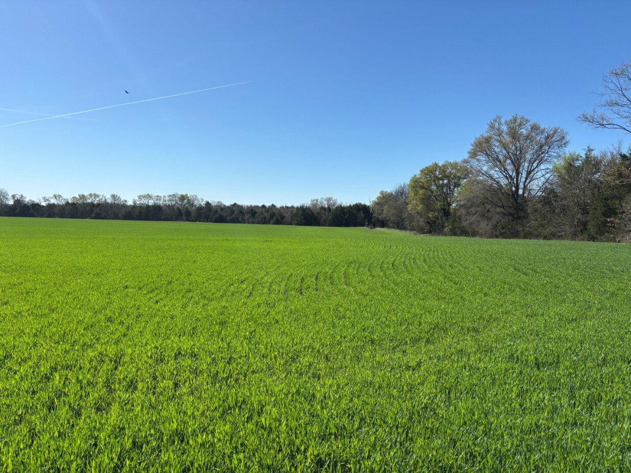 194.6 Acres of Income-Producing Land