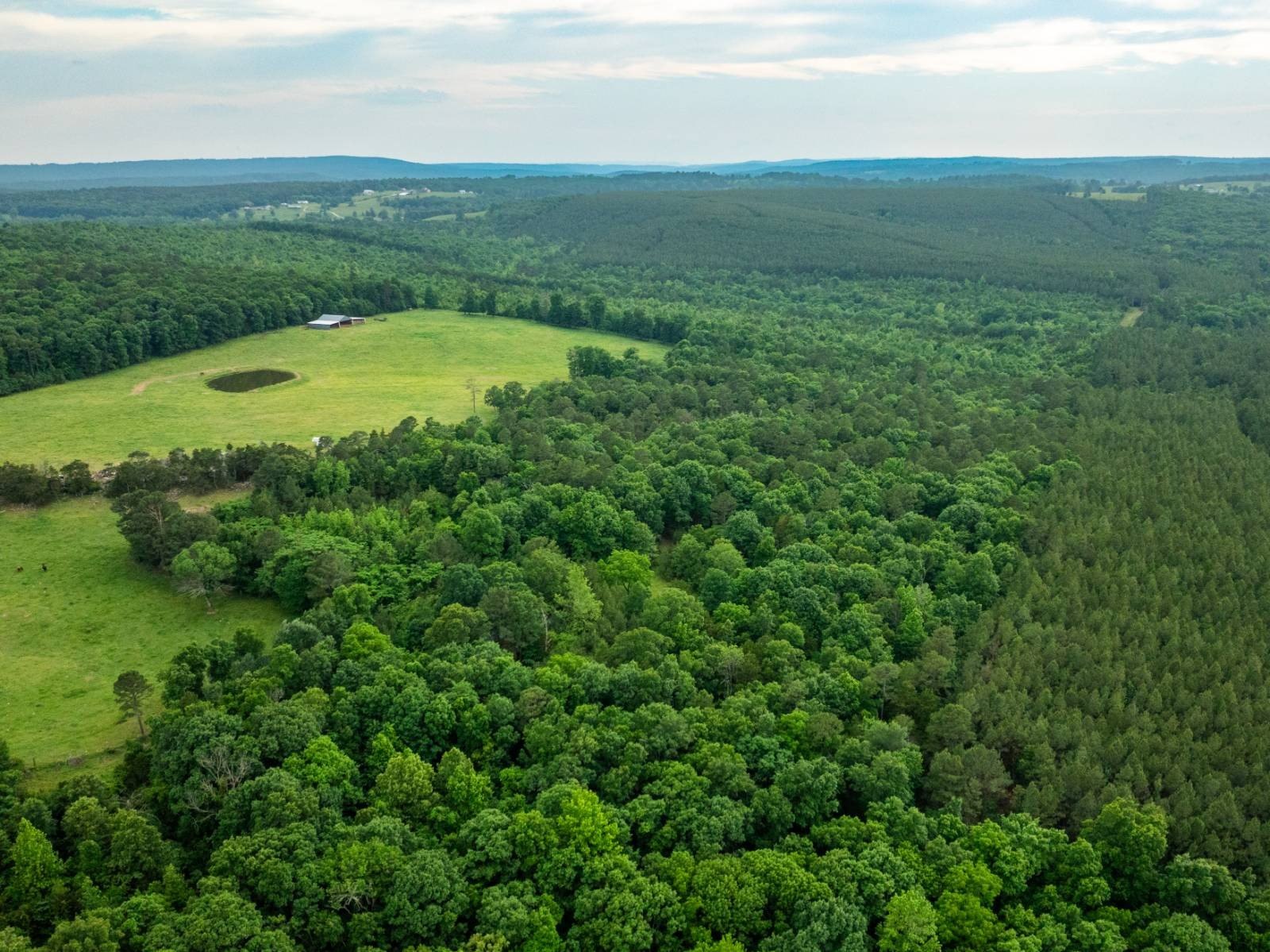 Recreational Land in Cleburne County