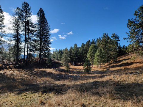 Land Parcel in Republic, WA