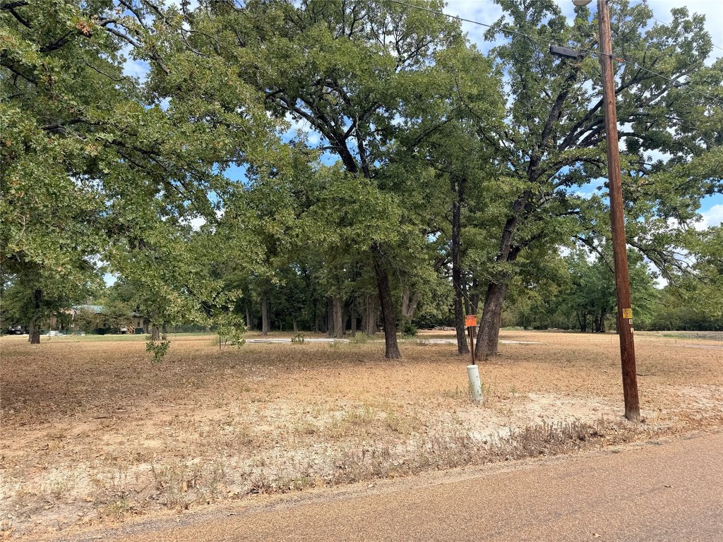 Picture 5