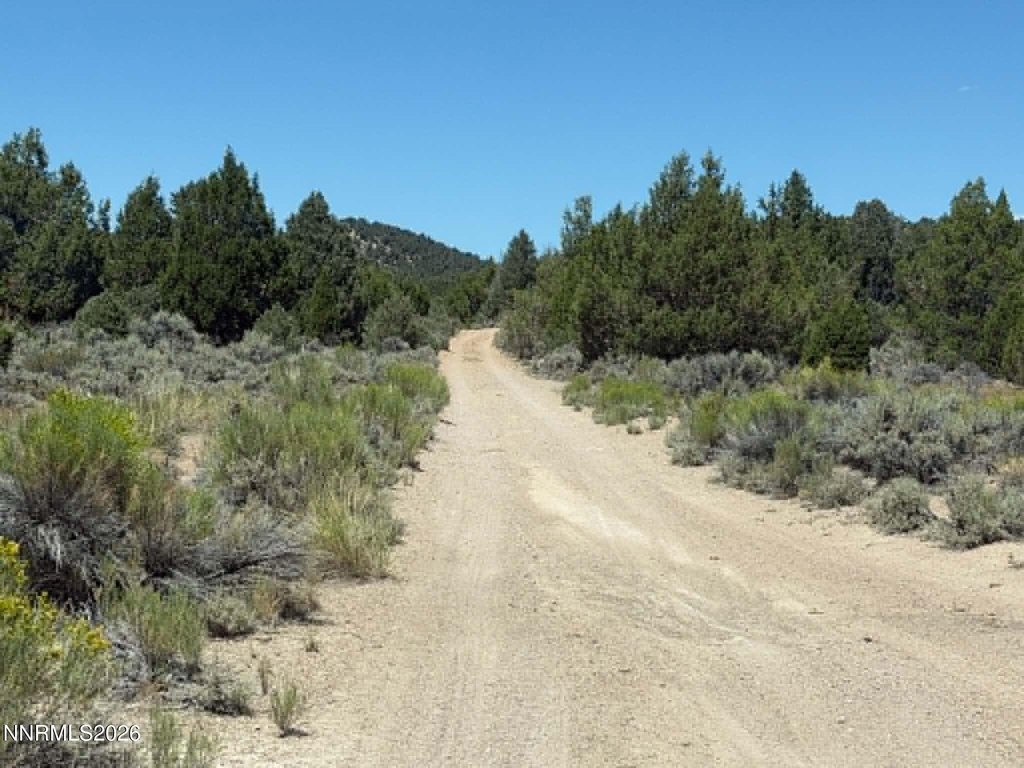 Picture 14