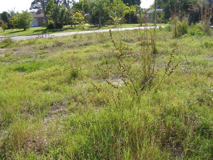 Picture 5