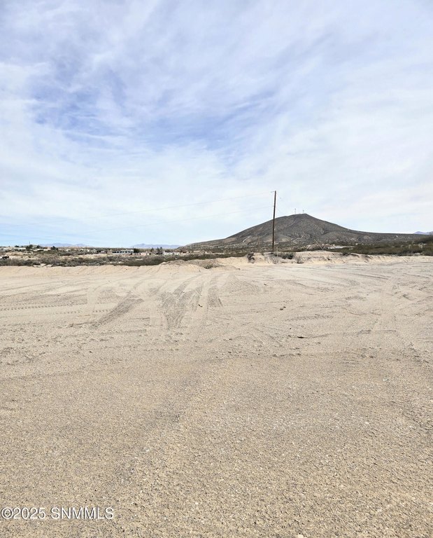 Picture 5