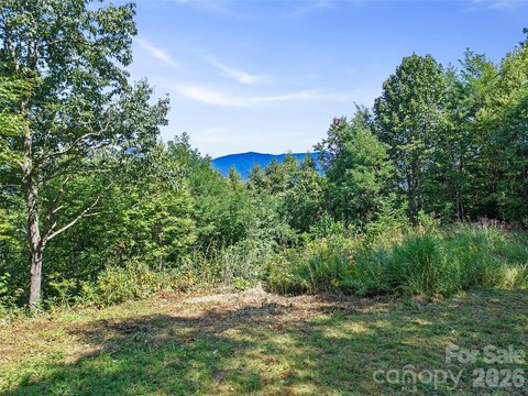 Swannanoa Land with Mountain Views