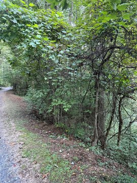 Mountain Land in Franklin, NC