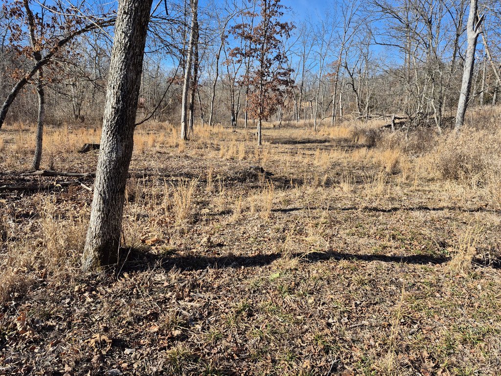Picture 18
