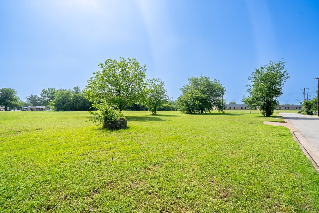 Picture 8