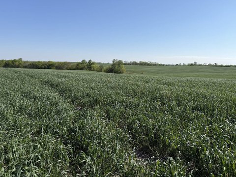Agricultural and Hunting Tract