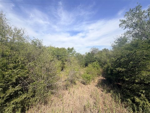 Land, Wills Point, TX