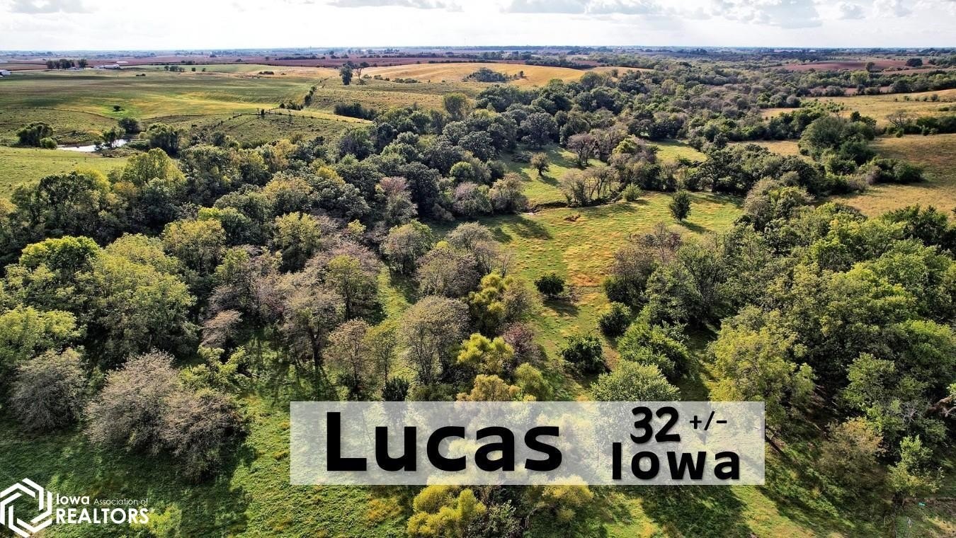 Lucas County Land with Potential