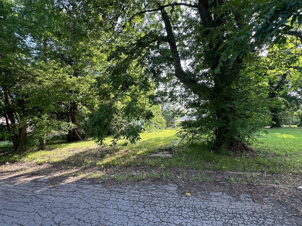 Picture 6