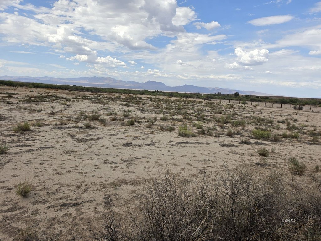 Picture 6