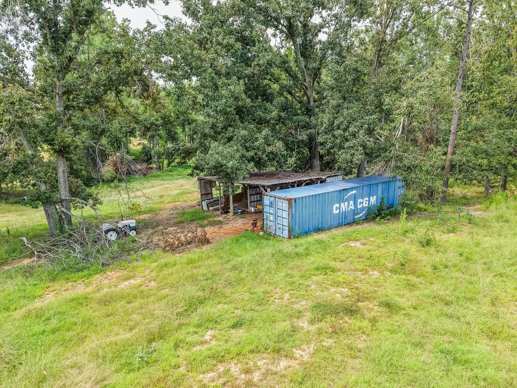 Picture 25