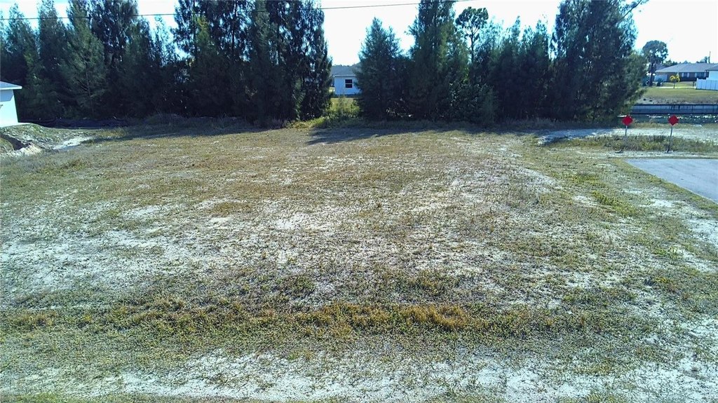 Picture 7