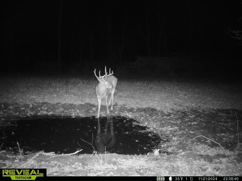 Picture 36