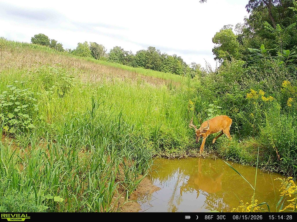 Picture 18