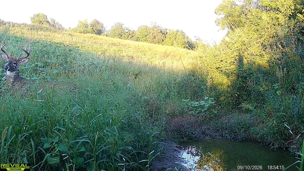 Picture 62