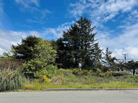 Crescent City Land Opportunity