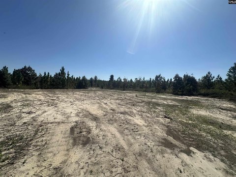 8.5 Acres of Pine Land