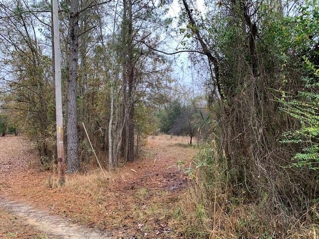 Manning, SC Land with Mobile