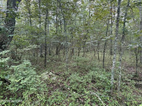 Crossville, TN Land For Sale