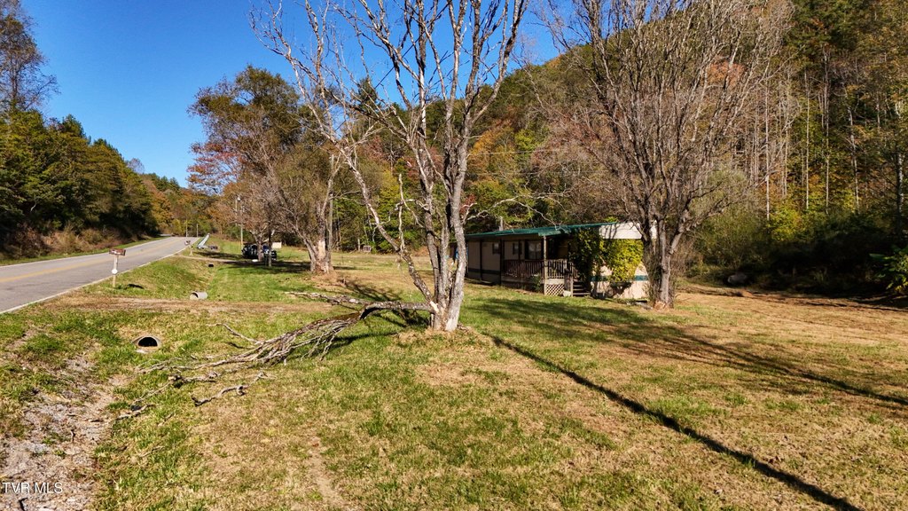 Picture 3