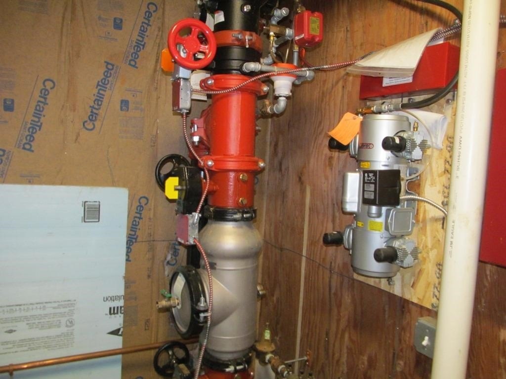 Picture 5