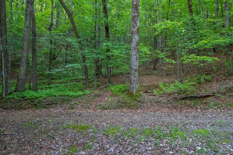 Brasstown, NC Wooded Lot