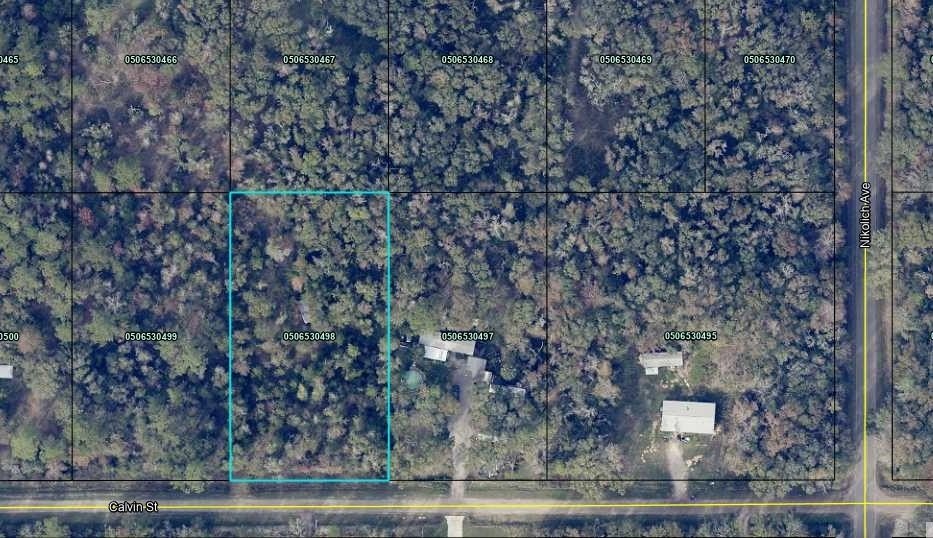 Flagler Estates 1.14-Acre Lot