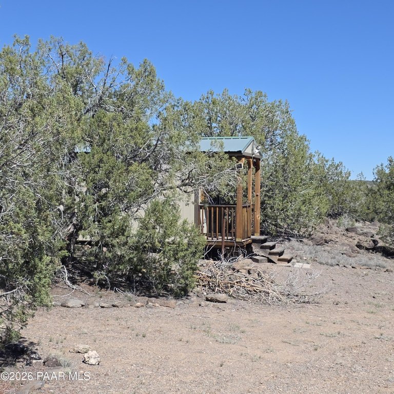 Picture 24