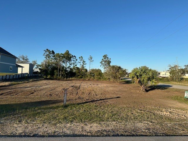 Picture 3