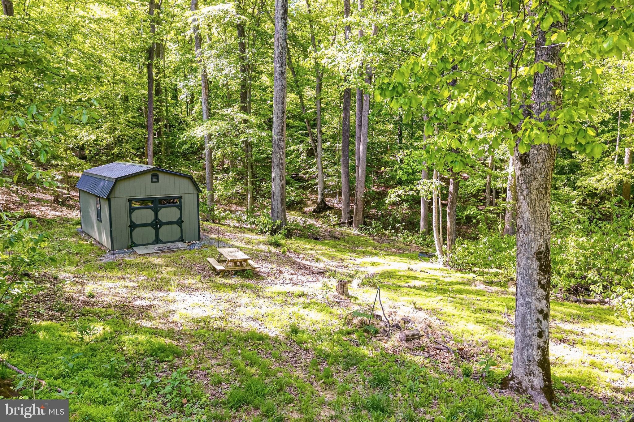 River-Access Land in Calmes Neck