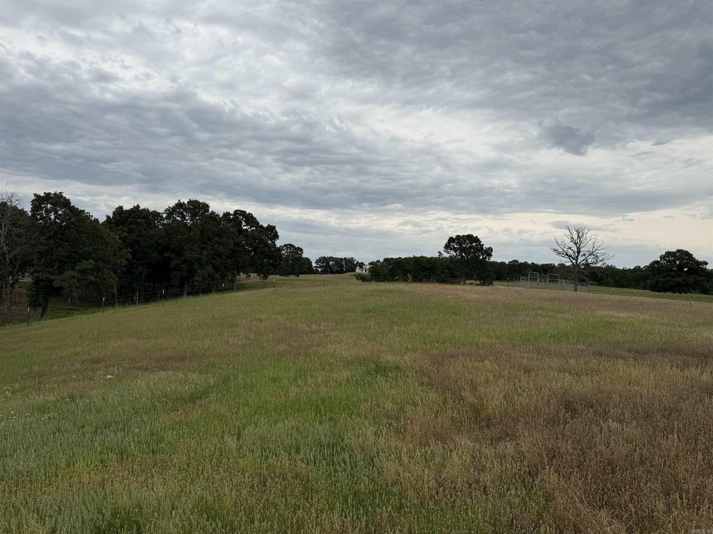 Picture 27
