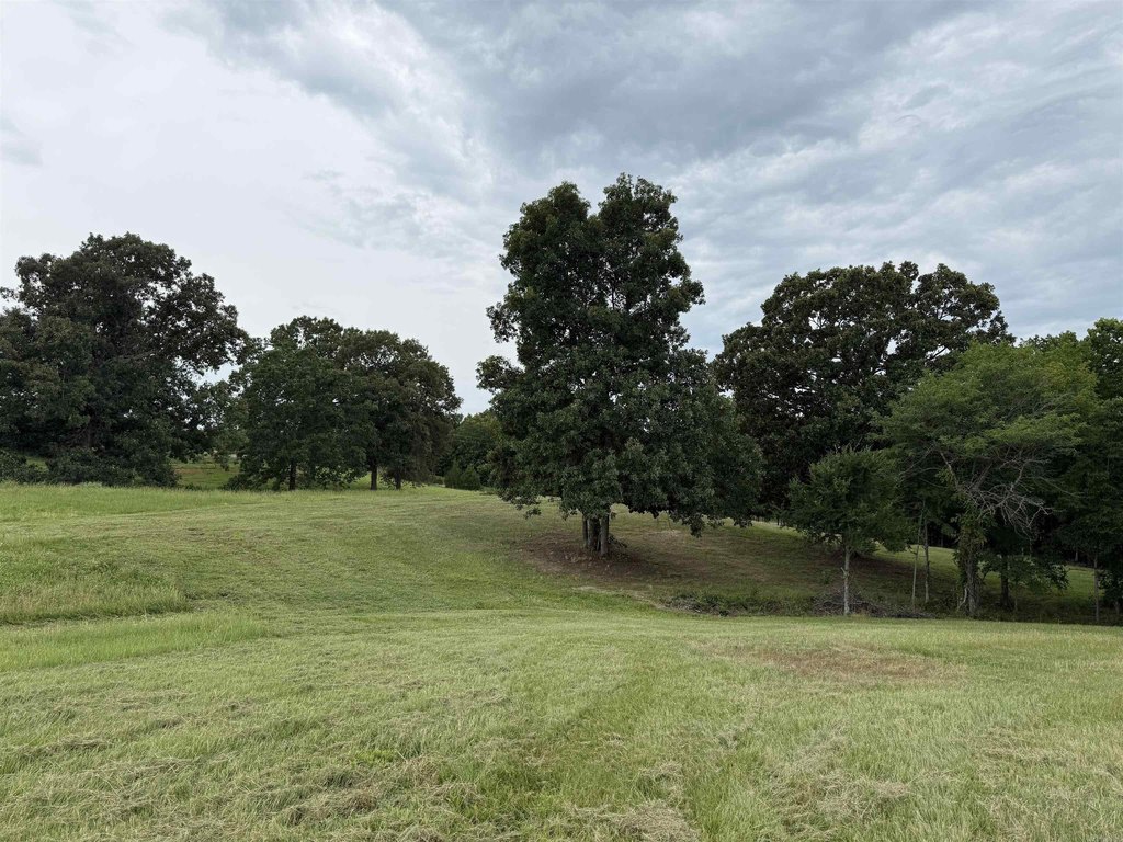 Picture 45