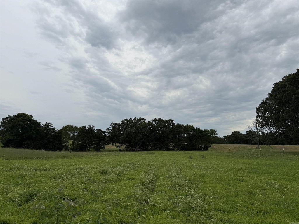 Picture 19