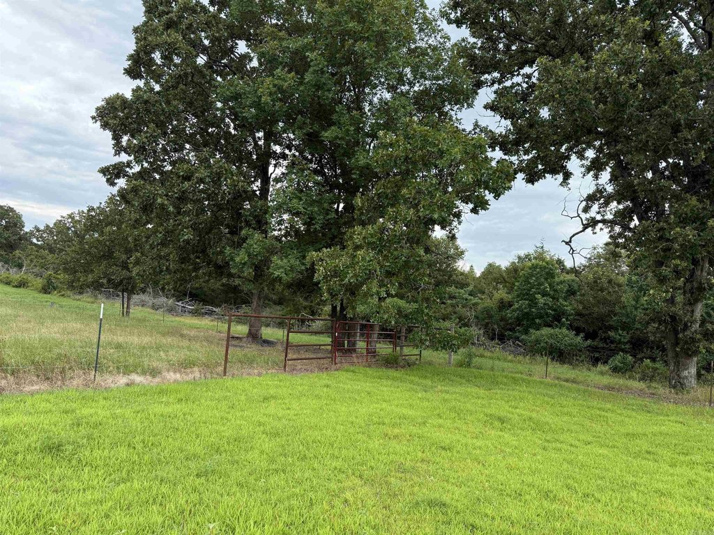 Picture 23