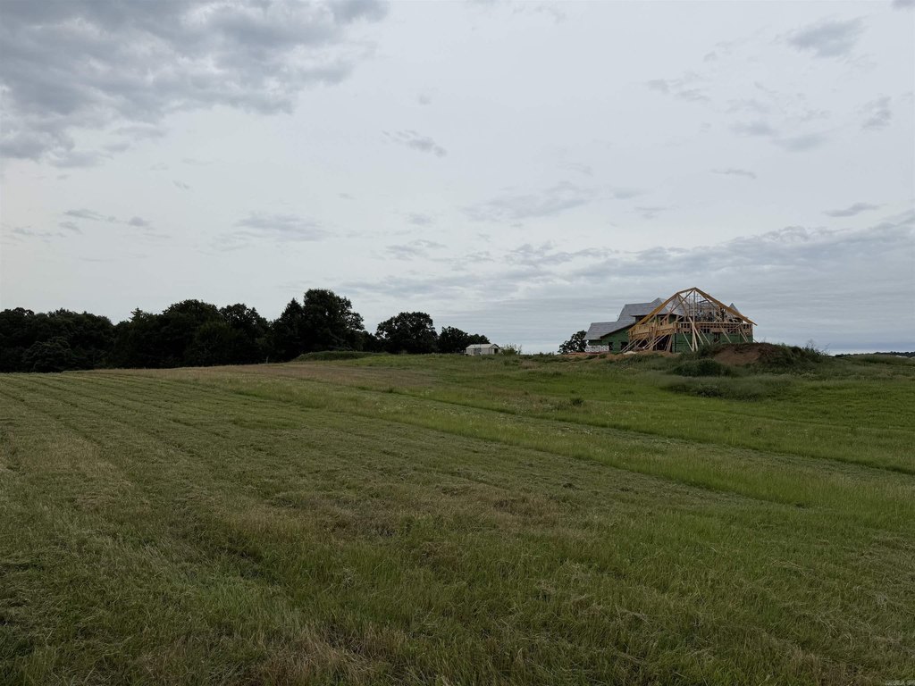 Picture 37