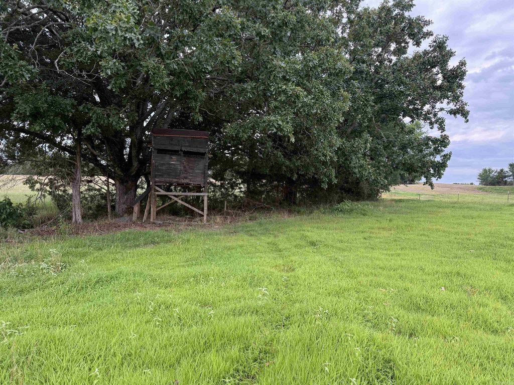 Picture 25
