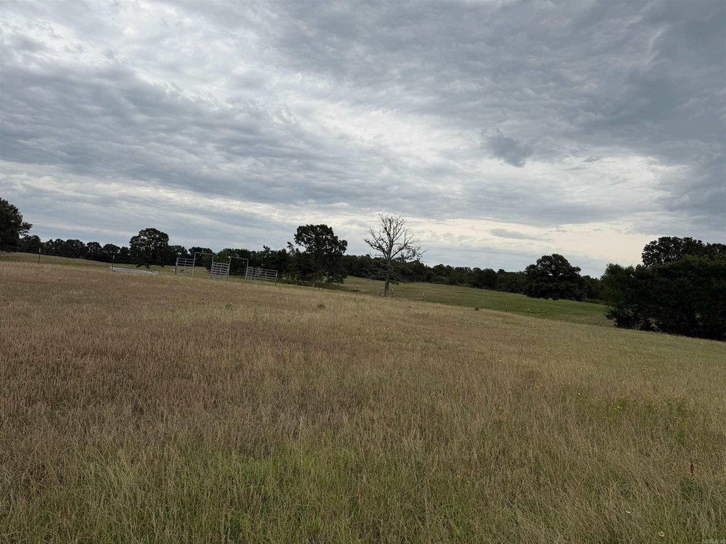 Picture 24