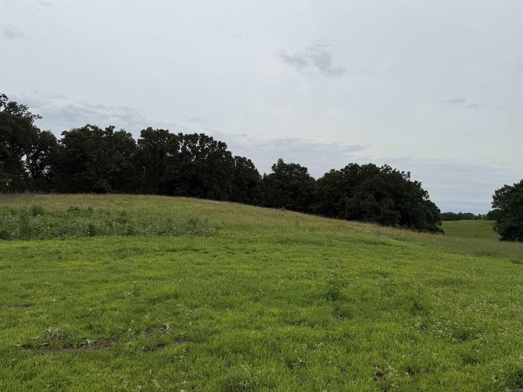 Picture 18