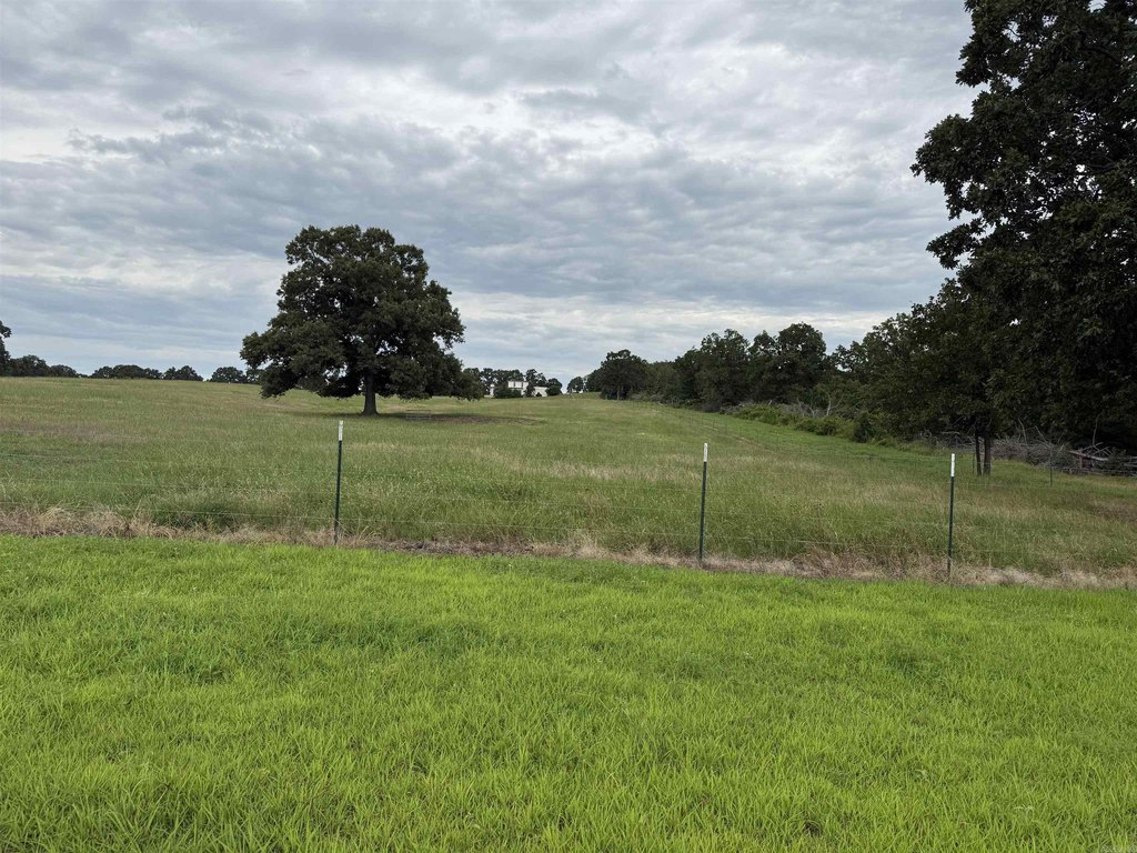 Picture 22