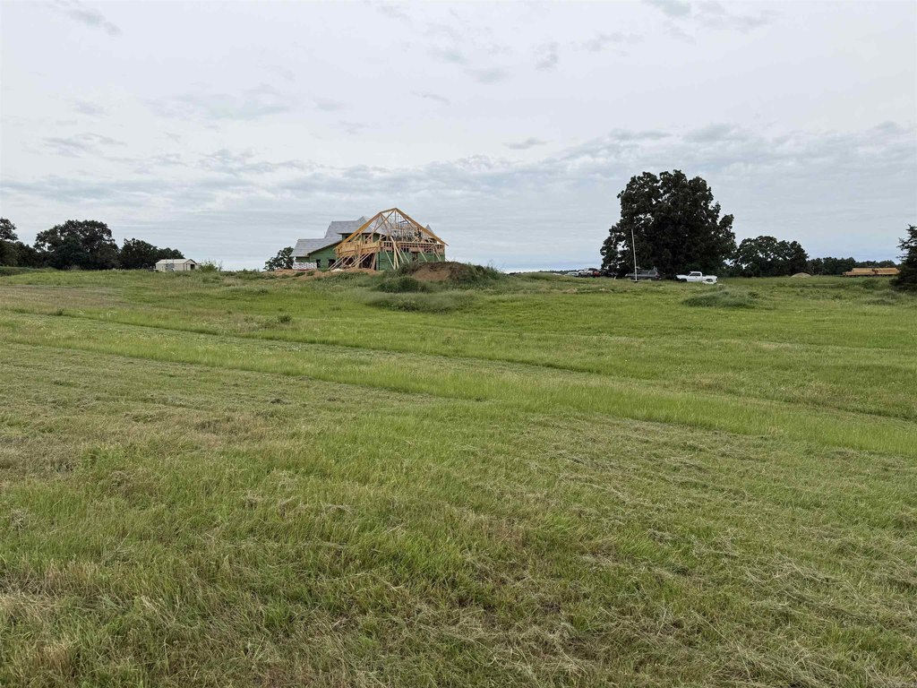 Picture 36