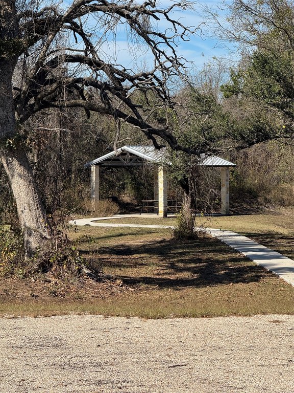 Picture 4