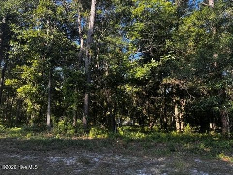 Residential Land Lot with Mature Trees