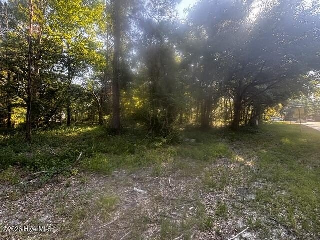 Picture 4