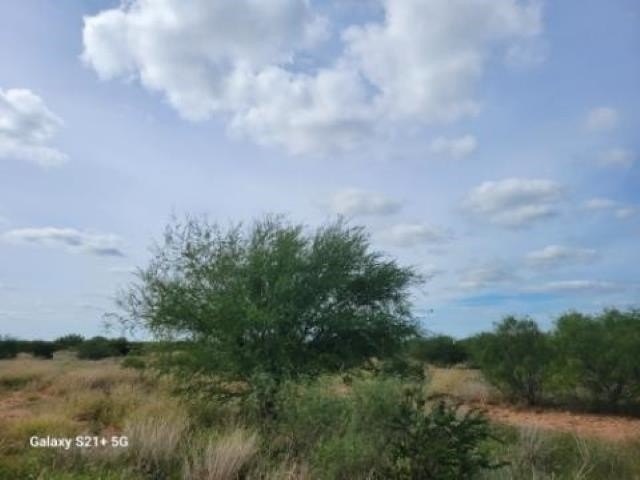 Picture 9