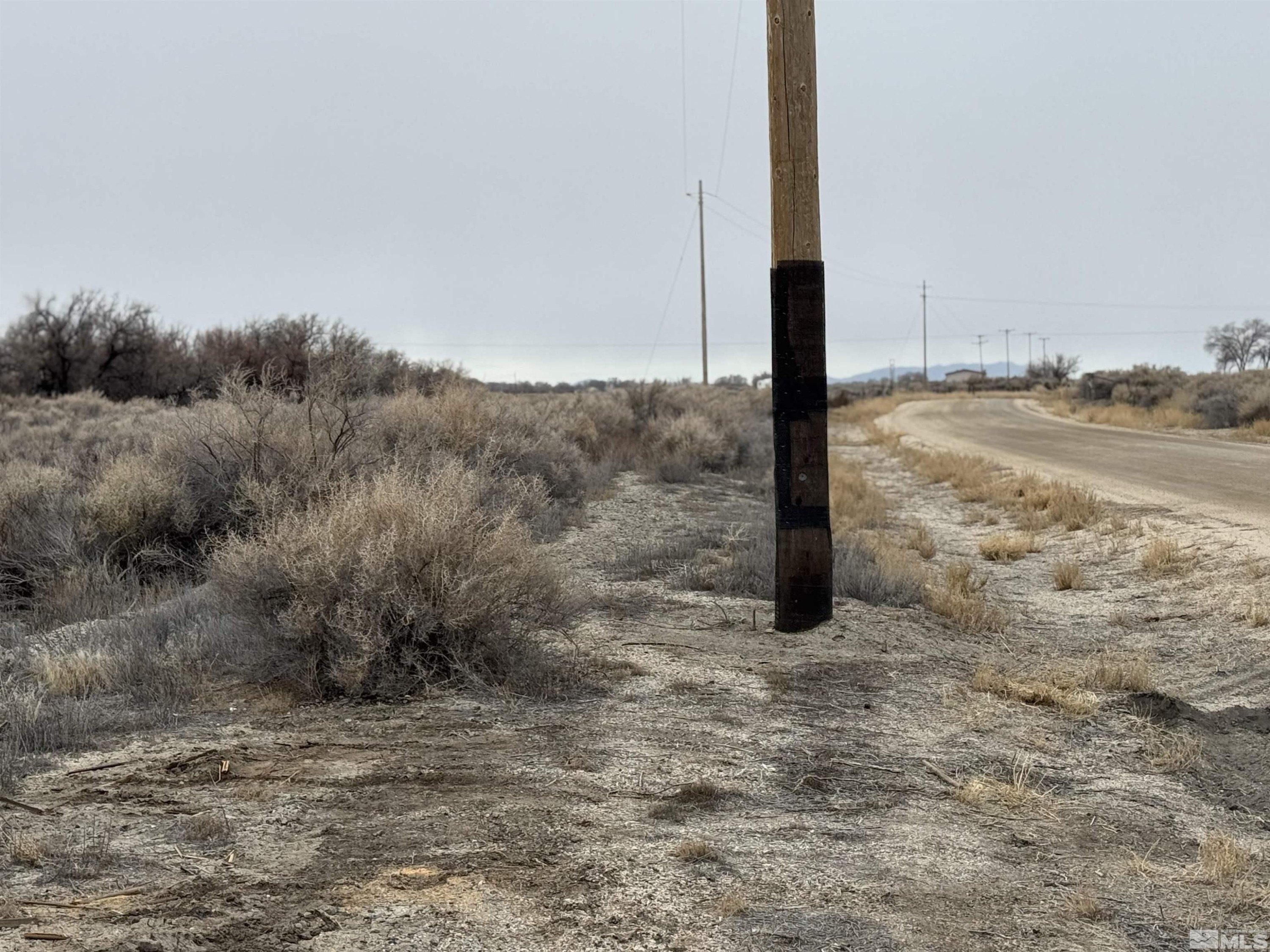 Lovelock Horse Property with Acreage