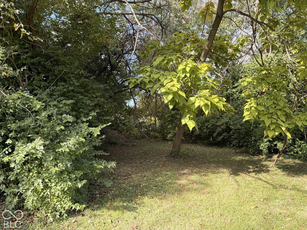 Picture 3
