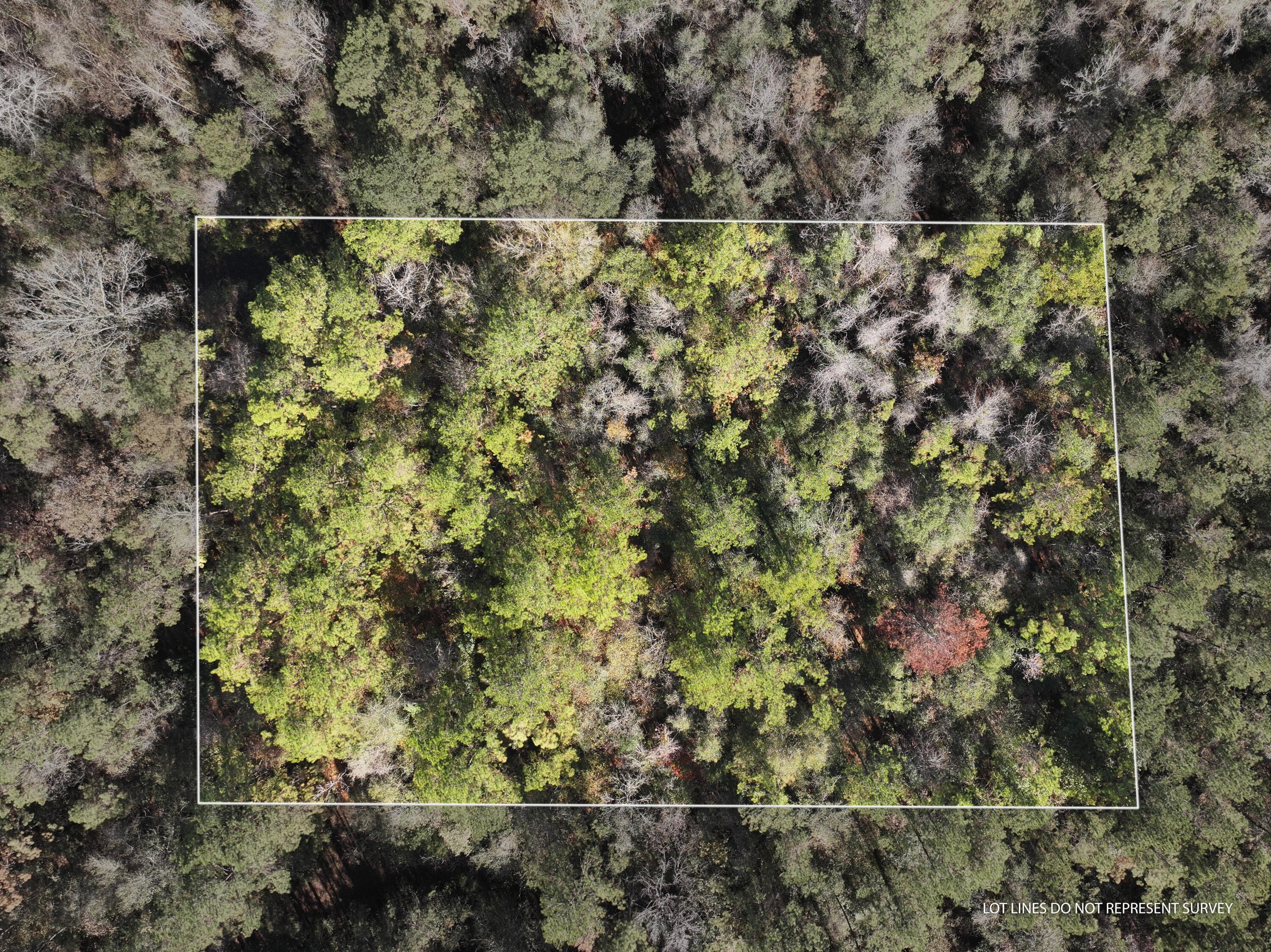 Land Near Leaf River Access